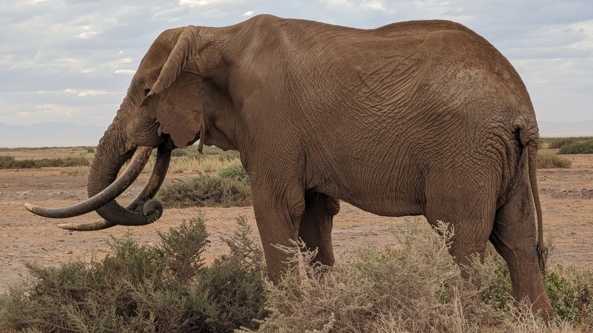 1 Woche Kenia Intensiv – Bahn, Beach & Big Five